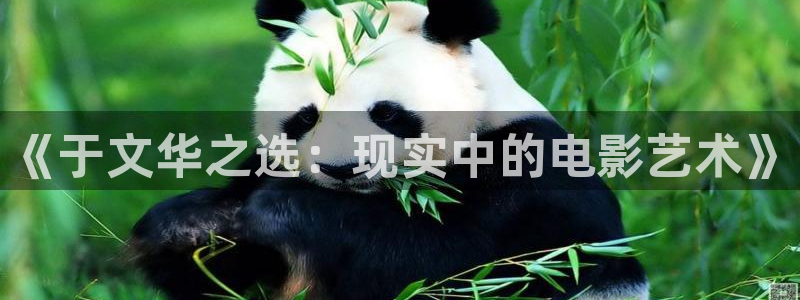 天天夜夜影院：《于文华之选：现实中的电影艺术》