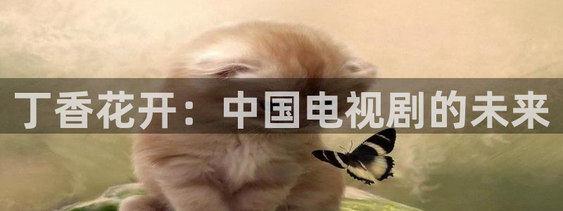 天天影院电视剧网址：丁香花开：中国电视剧的未来