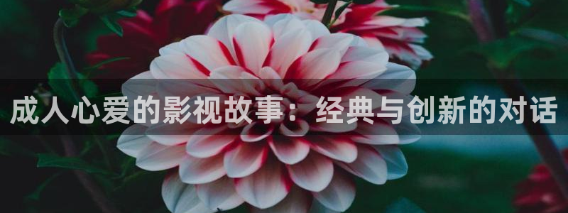 天天影院在线观看免费高清电视剧：成人心爱的影视故事：经典与创新的对话