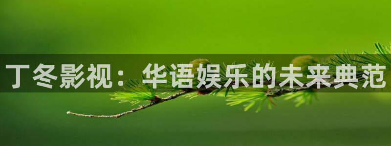 色综合影院天天影院：丁冬影视：华语娱乐的未来典范