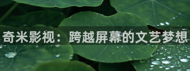 5g影院5g天天看：奇米影视：跨越屏幕的文艺梦想