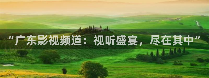 天天操电影院：“广东影视频道：视听盛宴，尽在其中”