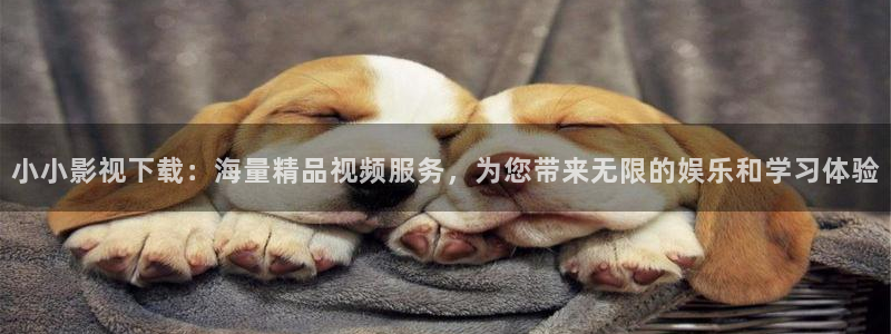 天天影院妈妈的朋友